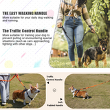 Bungee Dog Leash, 4-6FT No Pull Dog Leash with Car Seatbelt