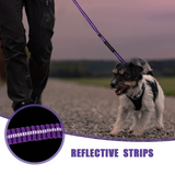 Bungee Dog Leash, 4-6FT No Pull Dog Leash with Car Seatbelt