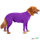 Dog Onesie for After Surgery Pet Surgical Recovery Suit