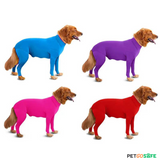 Dog Onesie for After Surgery Pet Surgical Recovery Suit