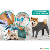 Dog Onesie for After Surgery Pet Surgical Recovery Suit