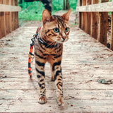PIDAN Cat Leash & Harness
