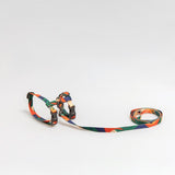 PIDAN Cat Leash & Harness