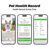 Dog Collar - Easy Scan QR ID - Strawberry Field