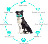 Dog Chew Toy - Squeaky Toothbrush Durable Rubber Toys for Teeth Cleaning