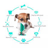Dog Teeth Cleaning Squeaking Molar Rod Play Bite Toothbrush Toy
