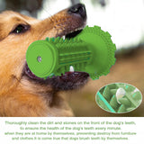 Dog Teeth Cleaning Squeaking Molar Rod Play Bite Toothbrush Toy