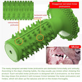 Dog Teeth Cleaning Squeaking Molar Rod Play Bite Toothbrush Toy