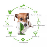 Dog Teeth Cleaning Squeaking Molar Rod Play Bite Toothbrush Toy