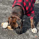 Air-Dried Beef Trachea Supersized: Natural Chew for Pets' Dental Health