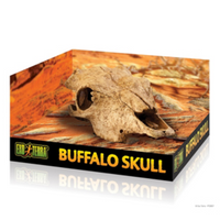 Exo terra decor - buffalo skull