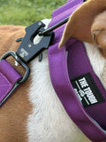 The Tough Ones™ Plum & Mint Tactical Dog Collar with Handle