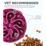 Fun Feeder Slo Bowl, Slow Feeder Dog Bowl