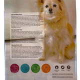 Fun Feeder Slo Bowl, Slow Feeder Dog Bowl