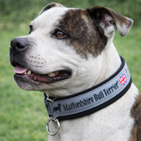 Grey & Black Soft Martingale Collar