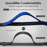 Hands Free Dog Running Waist Leash for Running