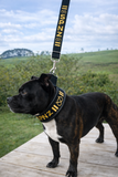 Lamb Skin Soft Martingale Collar & Leash Set