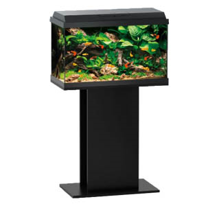 **SPECIAL** Juwel Primo 70 2.0 Black Aquarium and Stand