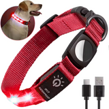 Light Up Dog Collar – USB-C Rechargeable & Waterproof LED, High-Visibility Nylon for Night Walking