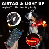 Light Up Dog Collar – USB-C Rechargeable & Waterproof LED, High-Visibility Nylon for Night Walking