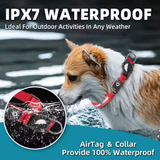 Light Up Dog Collar – USB-C Rechargeable & Waterproof LED, High-Visibility Nylon for Night Walking