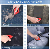 Mini Pet Hair Remover for Car/Couch Detailering