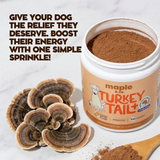 Maple&Co Turkey Tail+ Formula
