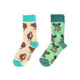 Oceania Bundle of 2