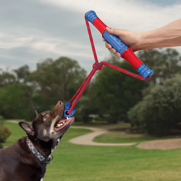 Jumbo-sized, durable fetch-and-tug toy with comfy handles for interactive play and a sliding ball that adds an extra dimension to tugging fun.

Durable materials reward appropriate chewing behavior
Easy-grip handles for interactive play
Ball slides along rope for dynamic tugging action
Sturdy rope ensures extended tugging satisfaction