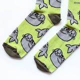 The Belly Sliding Bamboo Socks Duo