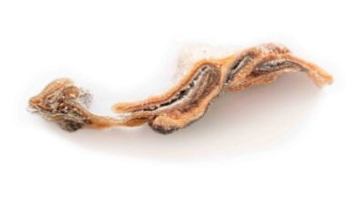 Salmon Skins 100g