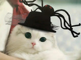 Pet Halloween Hat with Spider