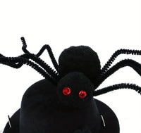 Pet Halloween Hat with Spider