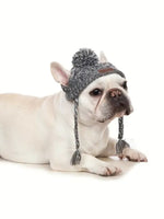 Dog Beanie