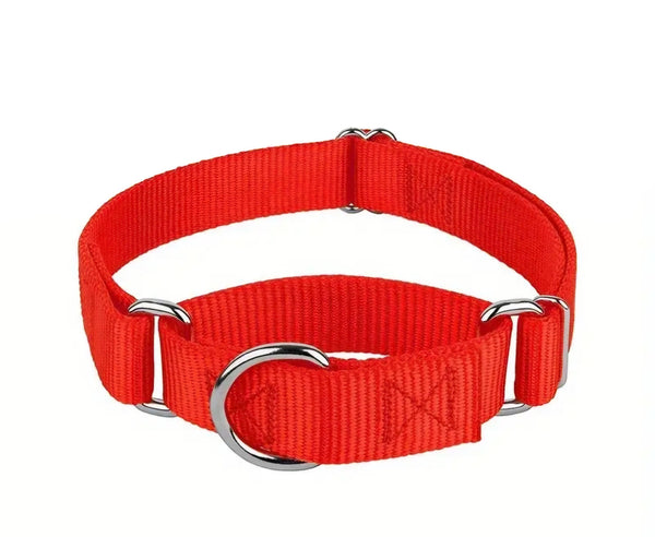 Adjustable Martingale Collar