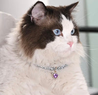 Pet Jewellery