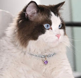 Pet Jewellery