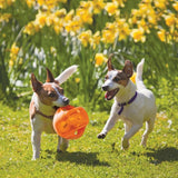 KONG Jumbler Ball Medium/Large