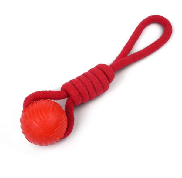 Spike Rope with Ball Dog  Toy