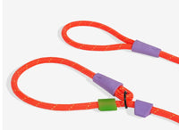 Zee Dog Slip-N-Lock  Leash - Everest