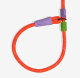 Zee Dog Slip-N-Lock  Leash - Everest