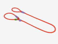 Zee Dog Slip-N-Lock  Leash - Everest