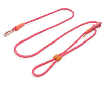 Zee.Dog Hands-Free  Leash - Gazelle