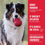 KONG Tug Toy