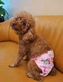 Animal Print Pet Nappy, size L, butterfly print