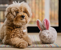 P.L.A.Y Forest Friends - Baxter the Bunny