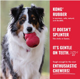KONG Ball Medium/Large