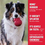 KONG Classic Small