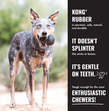 KONG Extreme Goodie Bone XL