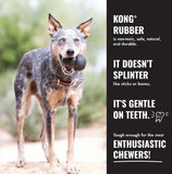 KONG Extreme Goodie Ribbon Large